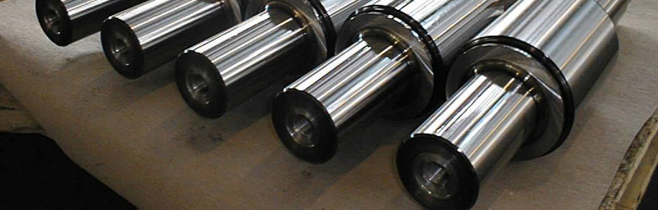 Work/Back-up Rolls for Cold and Hot Plate Levelers